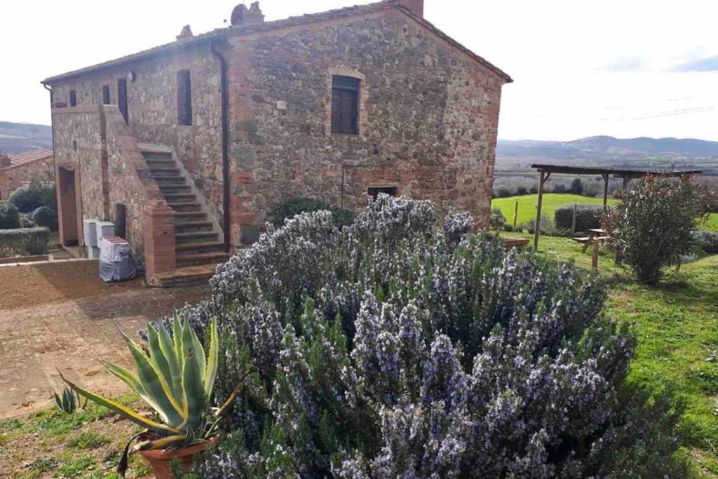 Cinigiano Apartment | Casetta Tre Poderi appartamento Papaveri