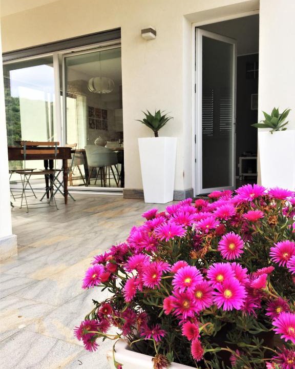 Custonaci House | I due carrubi
