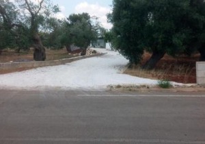 Villa "Posto Cantoro"