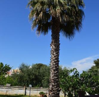 Taranto Bed & Breakfast | Biblos e Mare
