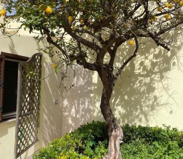 Carrozziere House | Casa Lime