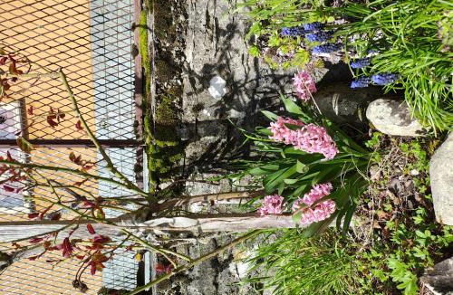 Corniglio House | Charme a Corniglio