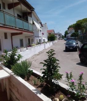 Frigole Apartment | Oxy House