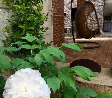 Borgosesia House | Relax