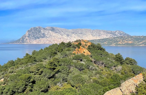 Capo Coda Cavallo Apartment | SAN TEODORO PUNTA EST BILOCALE VISTA MARe
