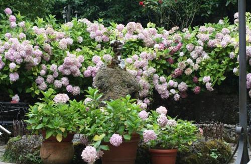 Borgo San Lorenzo Hotel | Tre Fiumi