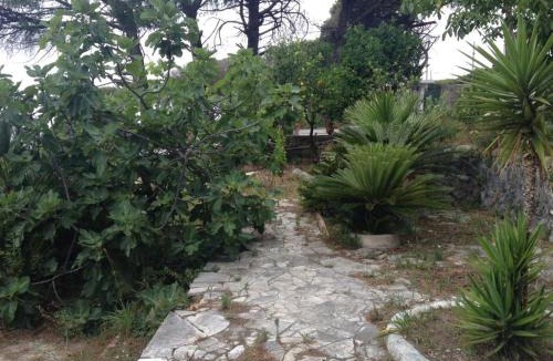Ercolano Apartment | Villa Gianna