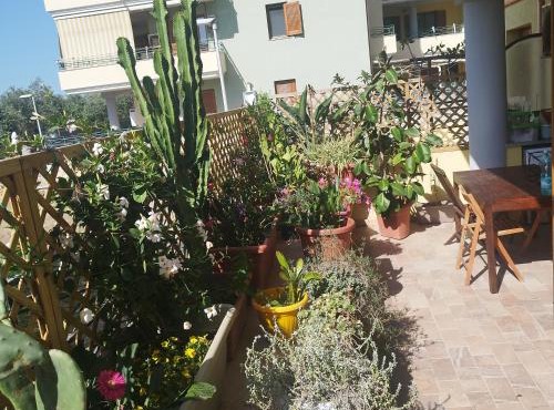 Alghero Lovely Flat