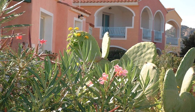 Comfortable studio with sea view and balcony or terrace