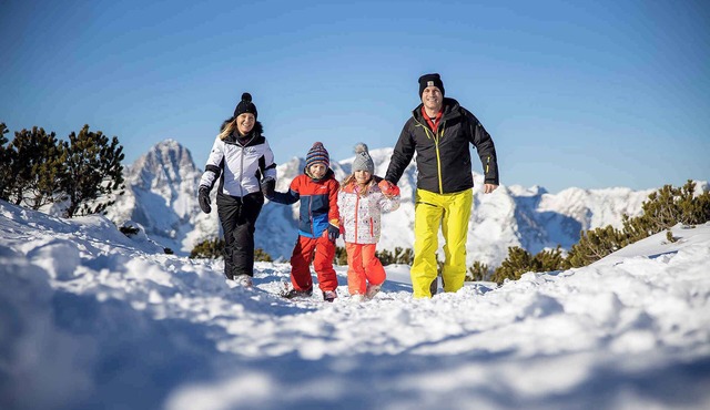 Studio with wellness area in Hinterstoder