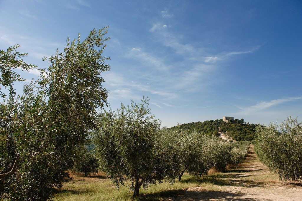 Photo of Outdoor in Gualdo Cattaneo