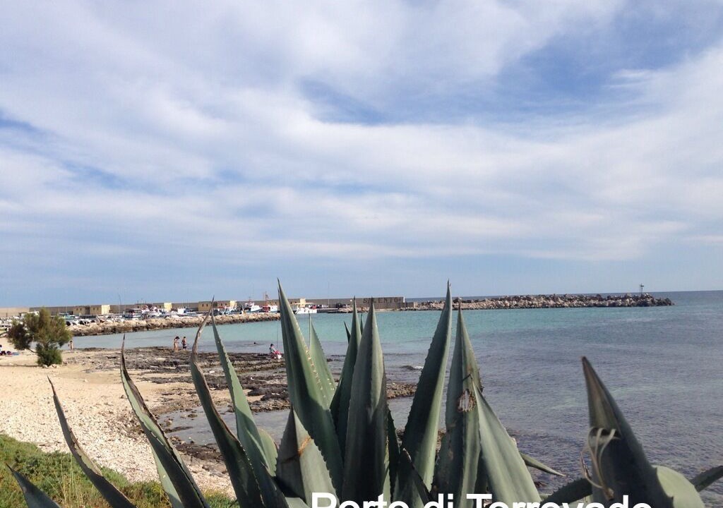 Photo of Others in Marina di Pescoluse