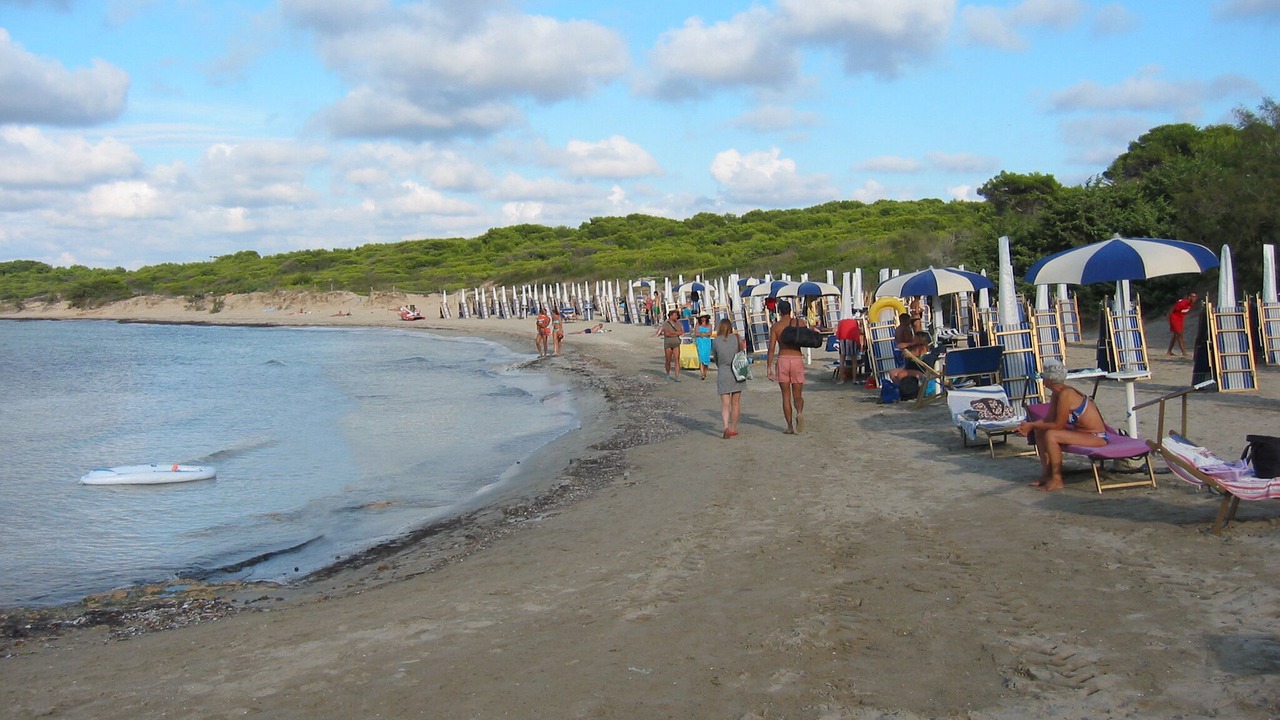 Photo of Others in Racale