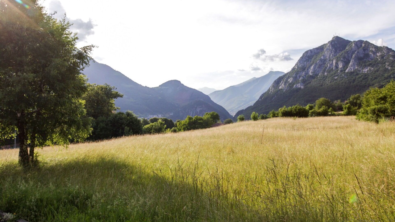 Photo of Others in Barzio