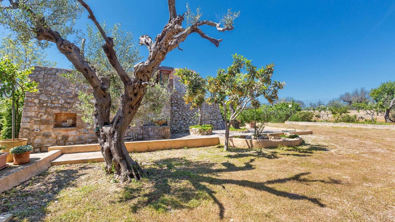 Photo of Outdoor in Marina di Pescoluse