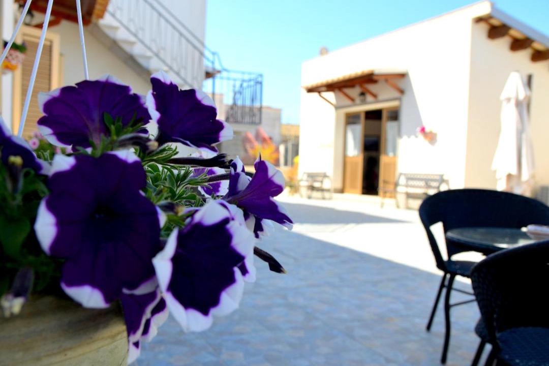 Photo of Others in Trapani