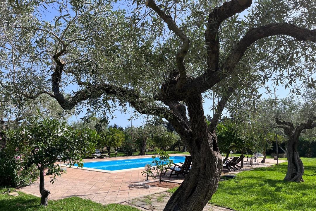 Photo of Outdoor in Trapani