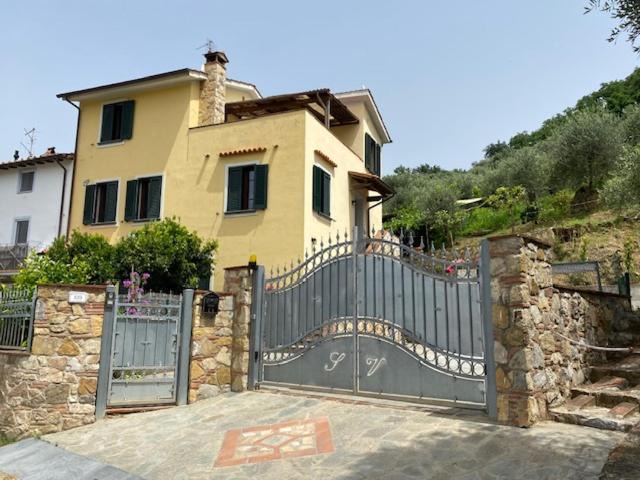 Photo of Others in Massarosa