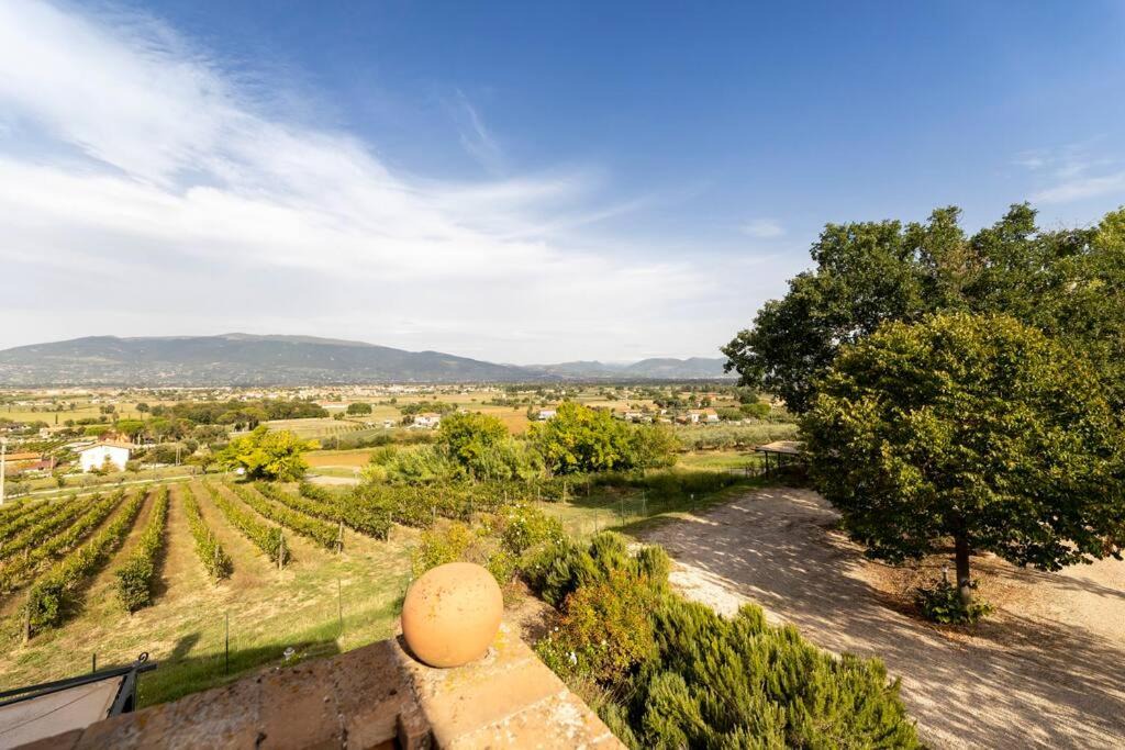Photo of Outdoor in Cantalupo