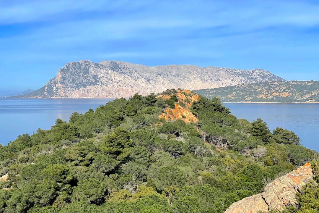 Photo of Outdoor in Capo Coda Cavallo