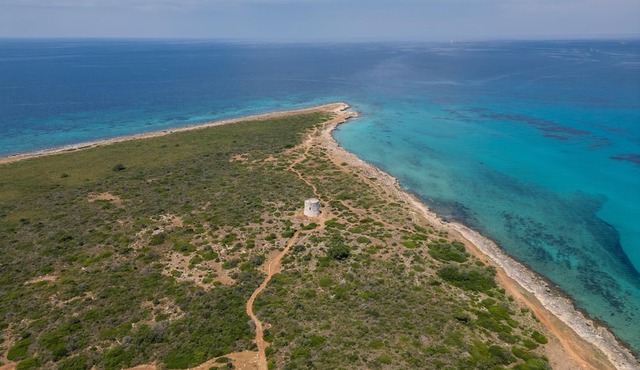 Decima Dimora Del Pizzo - Gallipoli